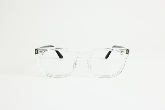 NEW YORK EYERISH, Dingle. Rx Prescription Lenses with Clear with Black Temple Frames